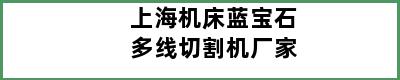 上海机床蓝宝石多线切割机厂家