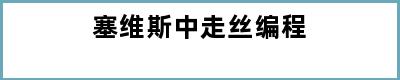 塞维斯中走丝编程