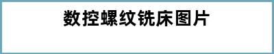 数控螺纹铣床图片