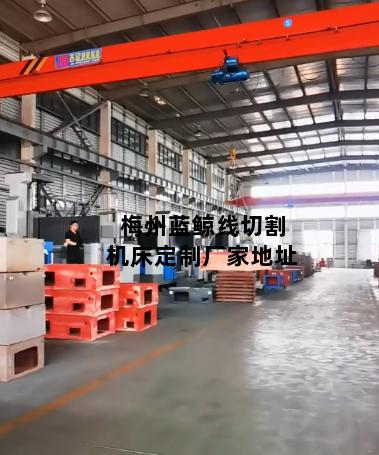 梅州蓝鲸线切割机床定制厂家地址