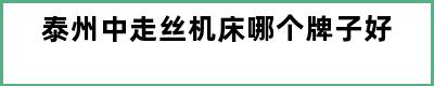 泰州中走丝机床哪个牌子好