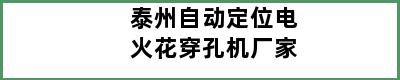 泰州自动定位电火花穿孔机厂家
