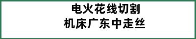 电火花线切割机床广东中走丝