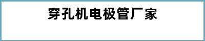 穿孔机电极管厂家