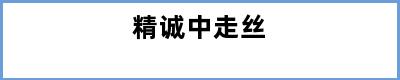 精诚中走丝