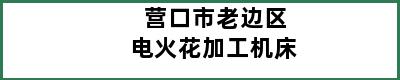 营口市老边区电火花加工机床