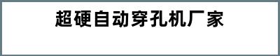 超硬自动穿孔机厂家