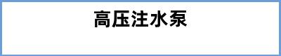高压注水泵